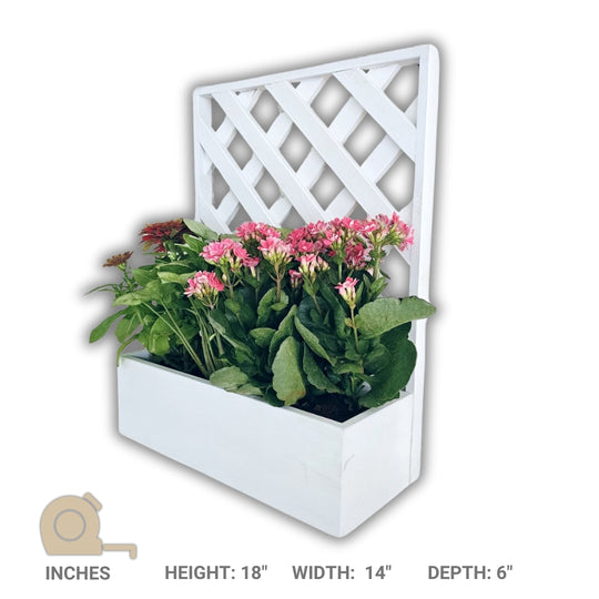 Wall Mounted Planter - Single Square