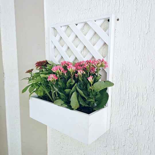 Wall Mounted Planter - Single Square