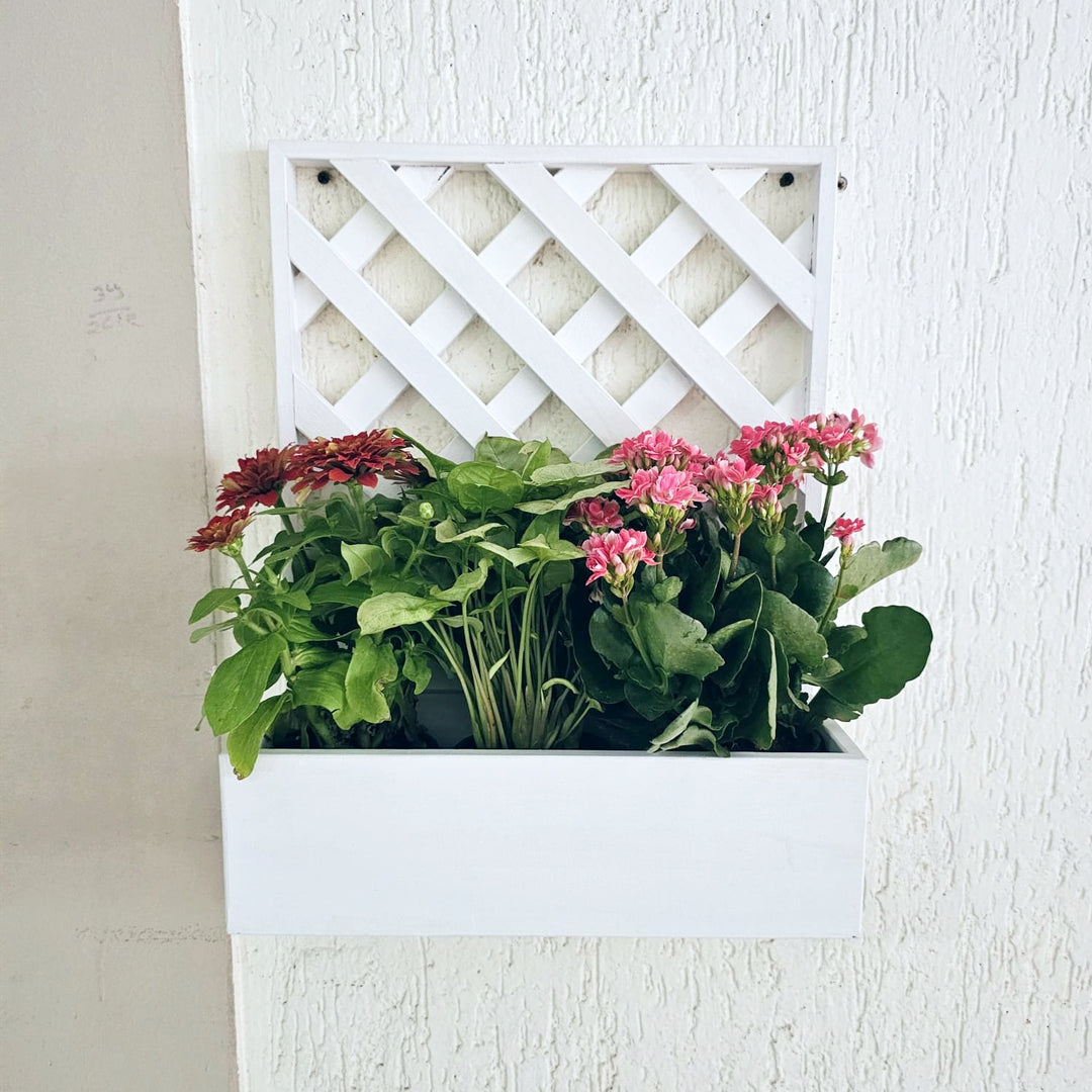 Wall Mounted Planter - Single Square