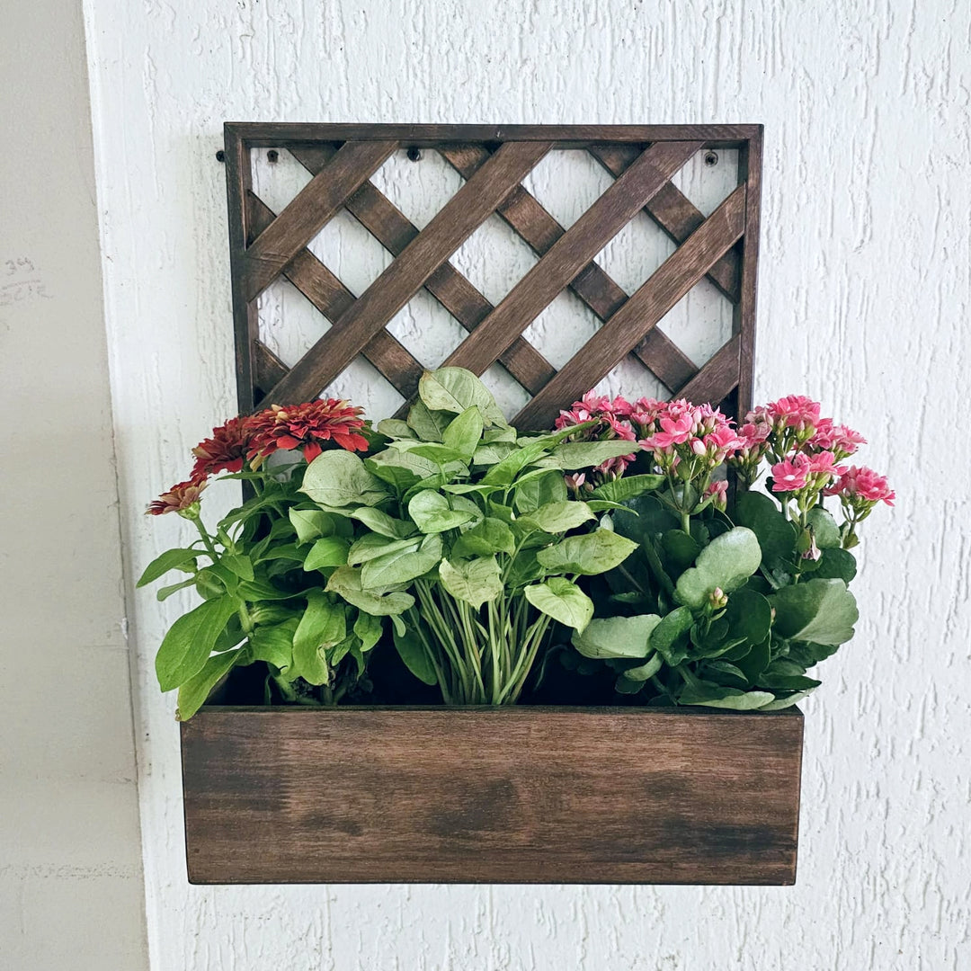 Wall Mounted Planter - Single Square