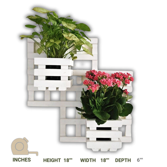 Wall Mounted Planter - Square Double