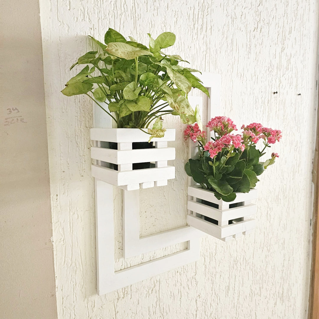 Wall Mounted Planter- Handcrafted Planter with 2 Planter Space  - For Living Room and Balcony