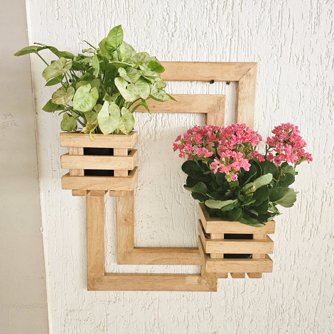 Wall Mounted Planter- Handcrafted Planter with 2 Planter Space  - For Living Room and Balcony