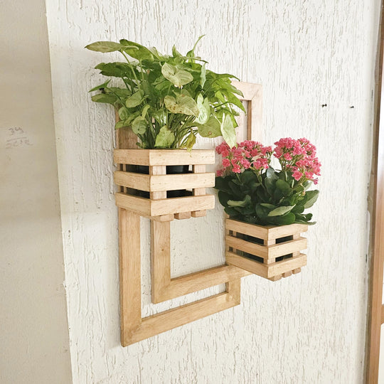 Wall Mounted Planter- Handcrafted Planter with 2 Planter Space  - For Living Room and Balcony