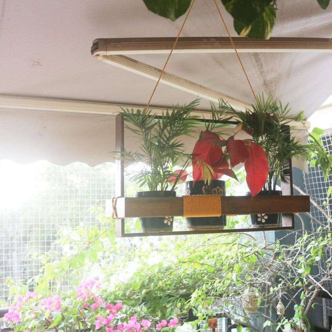 Barish Hanging Planter Frame (Single) Best Home Decor Handcrafted