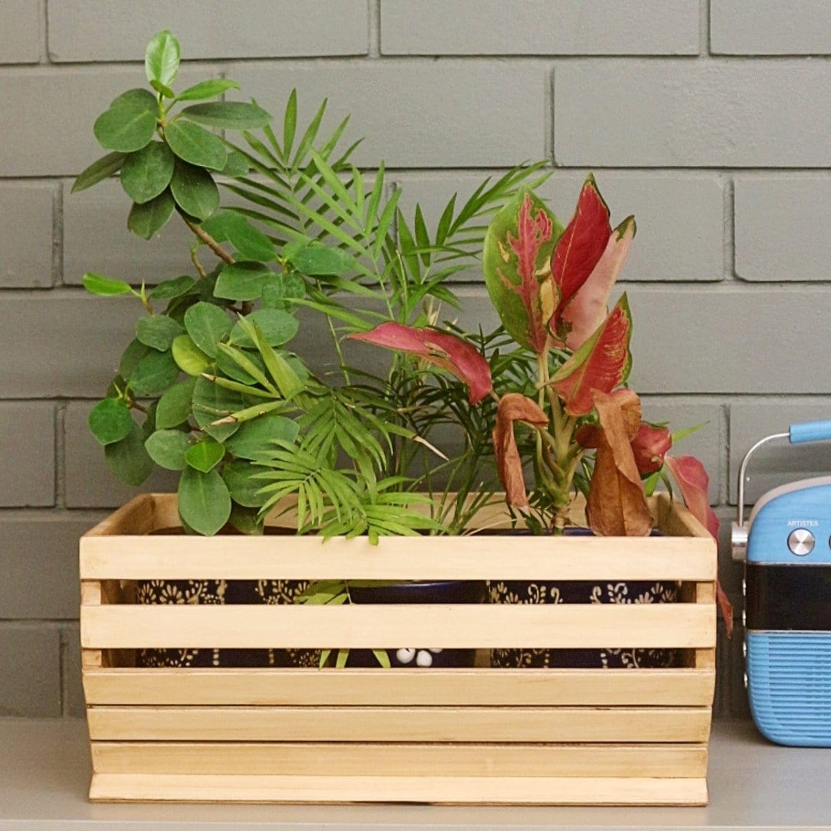 Barish Planter Basket Best Home Decor Handcrafted