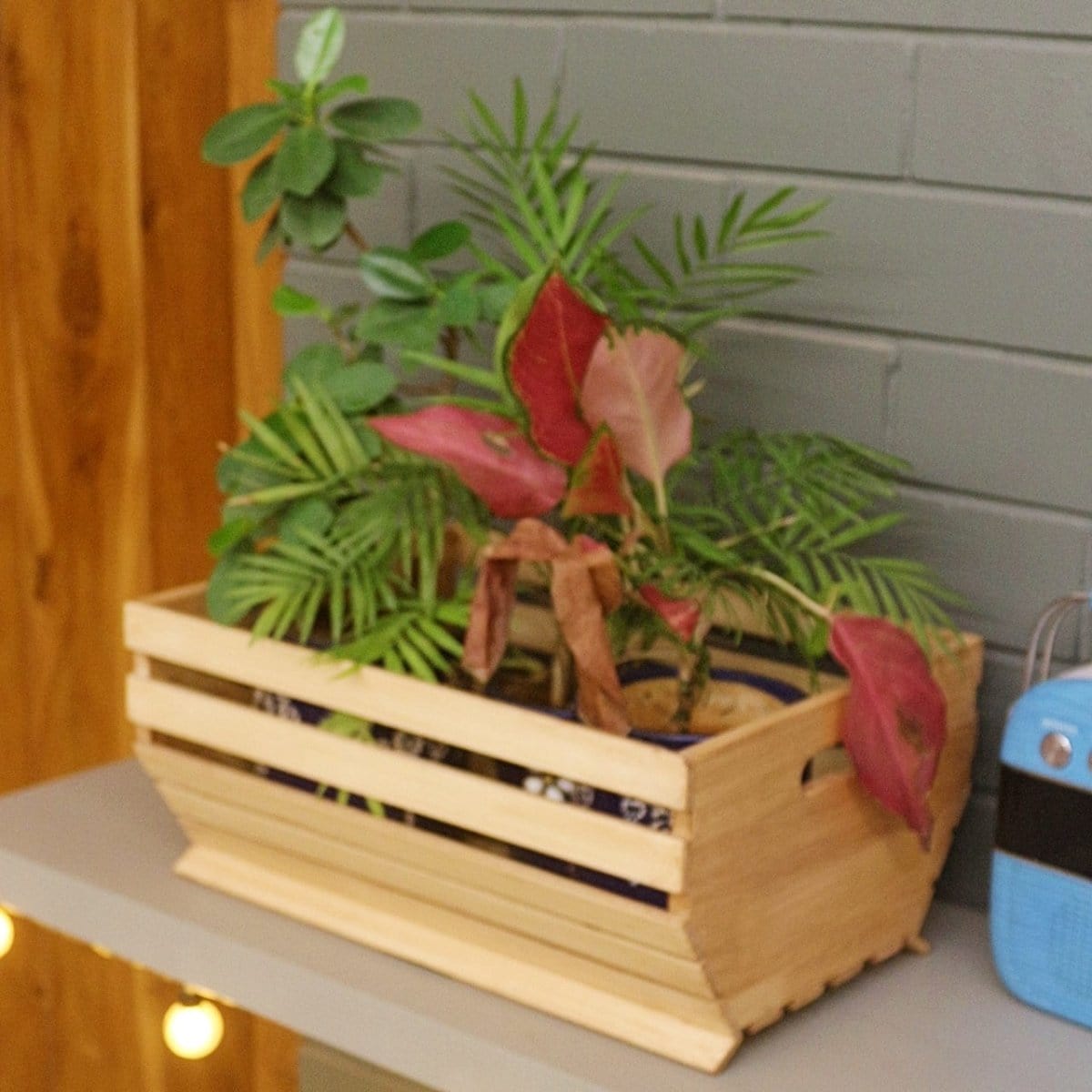 Barish Planter Basket Rubberwood BH0136RW Best Home Decor Handcrafted