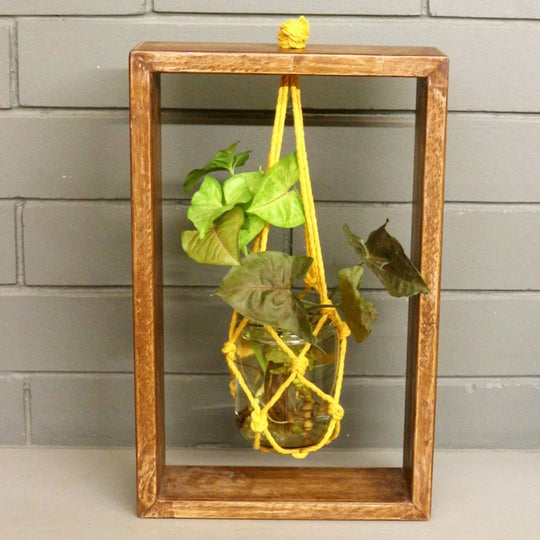 Barish Table Top Planter Wooden Frame (Single) Best Home Decor Handcrafted
