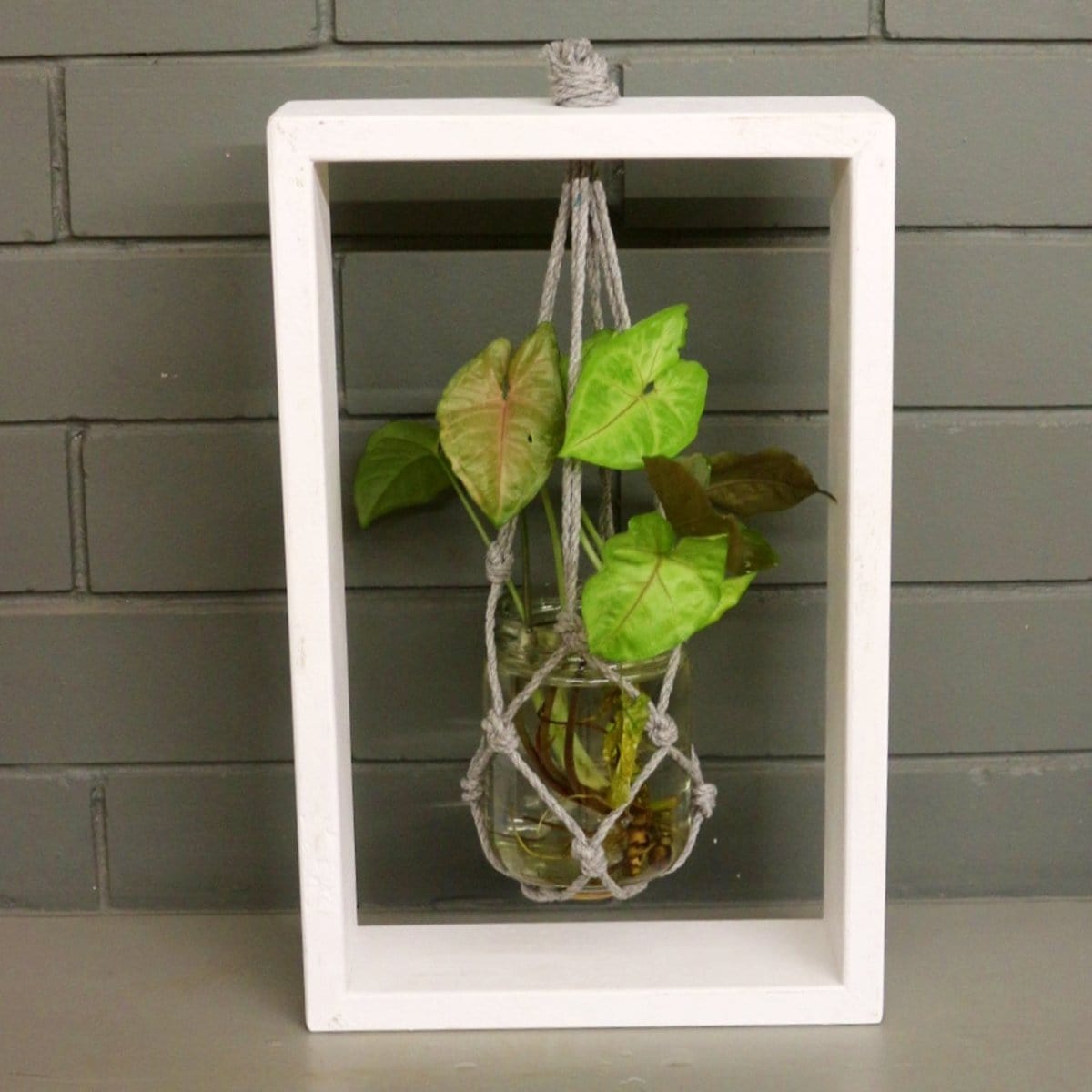 Barish Table Top Planter Wooden Frame (Single) Best Home Decor Handcrafted