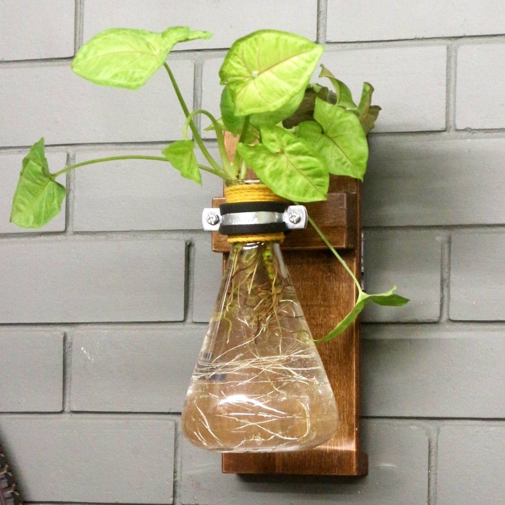 Barish Wall Mounted Planter Best Home Decor Handcrafted