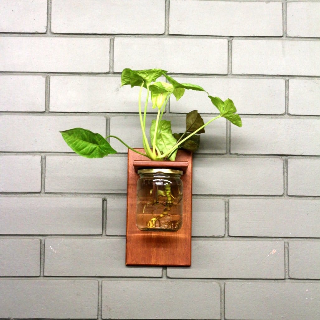 Barish Wall Mounted Planter-Single Jar Best Home Decor Handcrafted