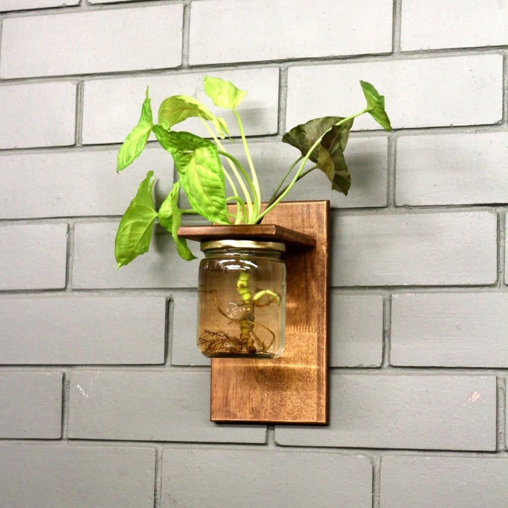 Barish Wall Mounted Planter-Single Jar Walnut BH0063WT Best Home Decor Handcrafted