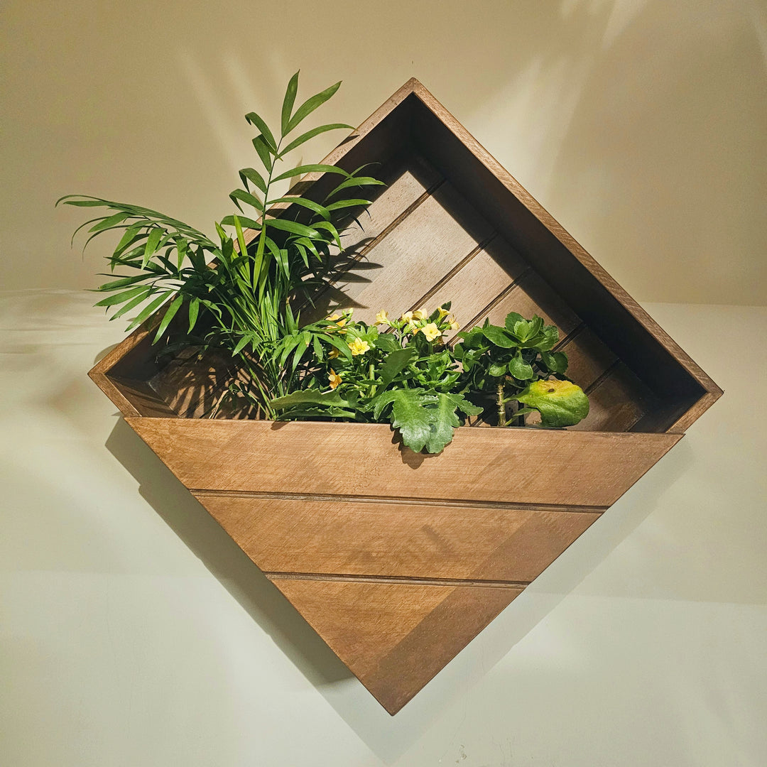 Wall Mounted Planter Stand -  Square  Box with 3 Plant Holder - Perfect for Indoor and Outdoor Space