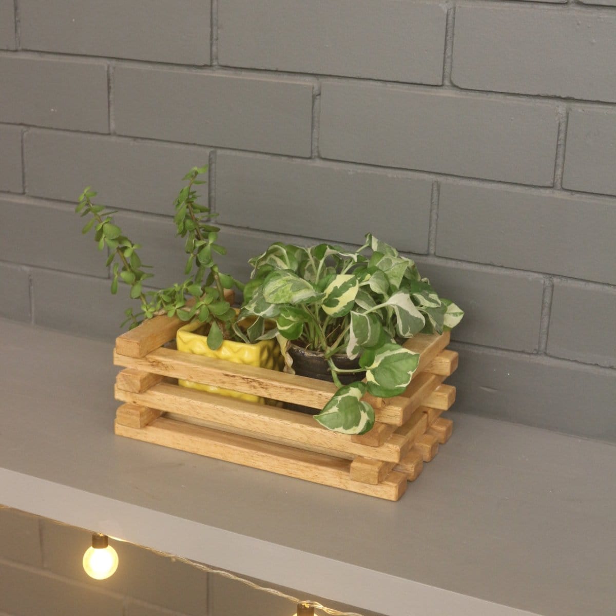 Table Top Planter (Small Crate ) - Barish