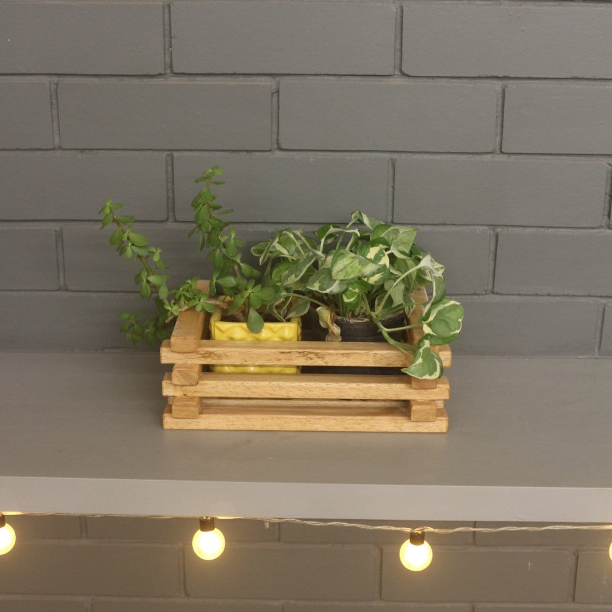 Table Top Planter (Small Crate ) - Barish
