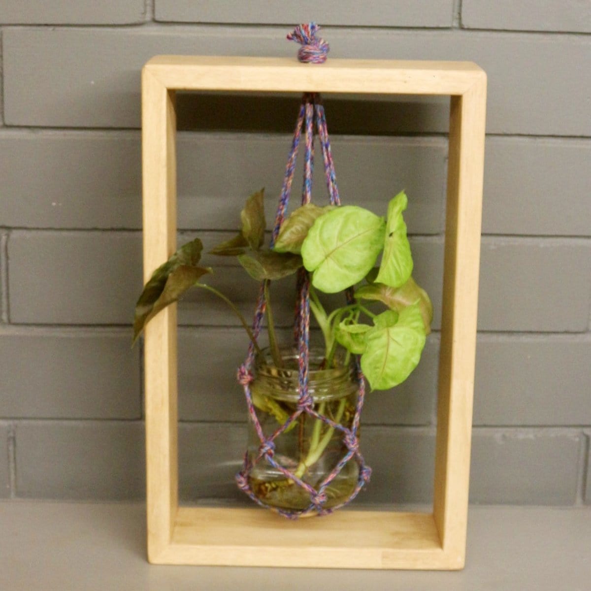 <img src="table-planter-wooden-frame-single.jpg" alt="Single wooden frame table planter perfect for adding a touch of greenery and elegance to your tabletop decor.">