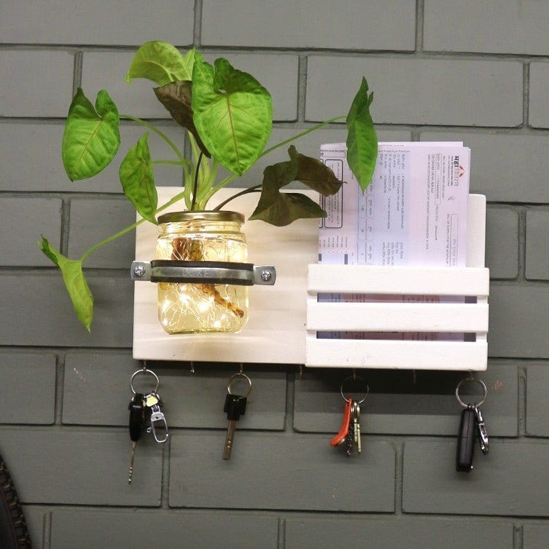 Wall Key Holder Jar Planter with Light - Barish